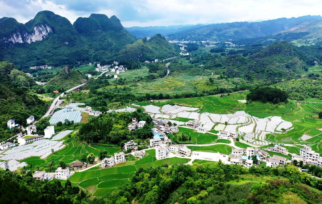 双河村全景图.png