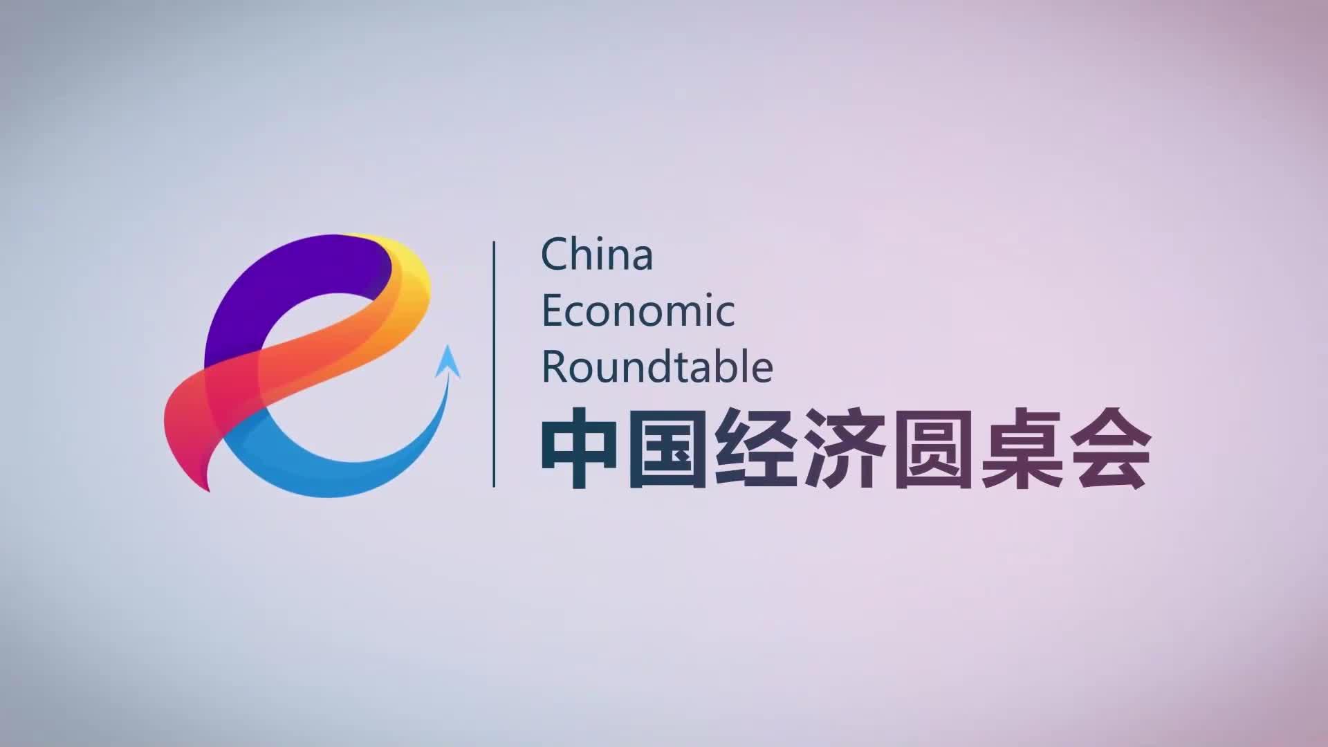 “中国经济圆桌会”共话民营经济促进法出台