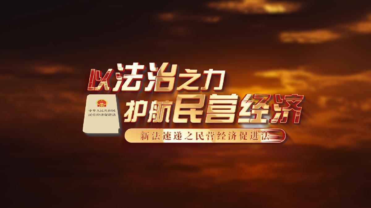 以法治之力护航民营经济